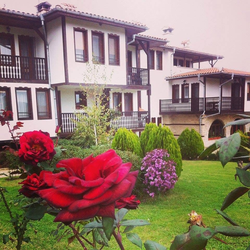 Roses in the Chiflika courtyard